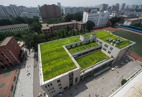 山东塑料植草格价格_供应产品_泰安成润土工合成材料